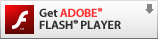 Download Adobe Flash player